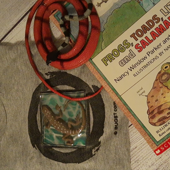 BugsT 3D Lizard Tee, Book, Toy - Picture 16 of 16